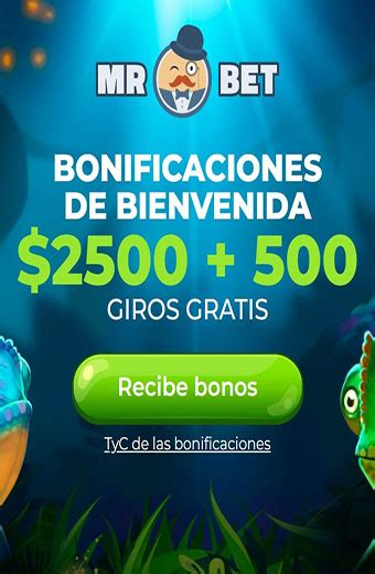 Bingo bet casino Uruguay